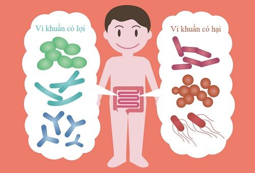 Sử dụng vi sinh giúp cây trồng sống khỏe