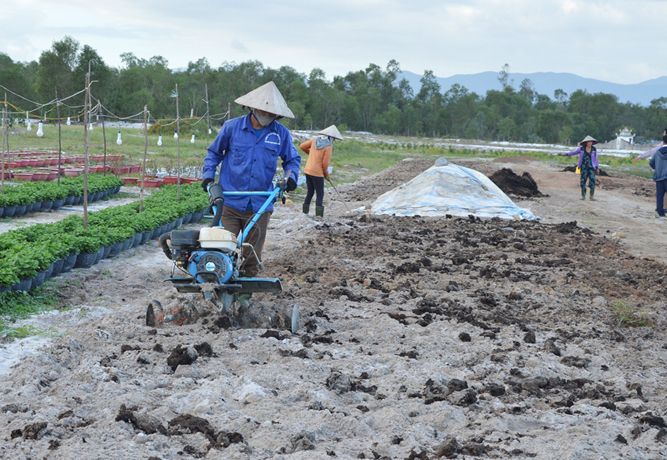 Quảng Bình hạn chế sử dụng phân bón hóa học và thuốc bảo vệ thực vật