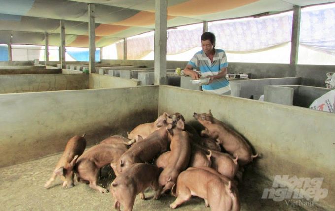Cần Thơ xây dựng cơ sở, vùng chăn nuôi an toàn dịch bệnh