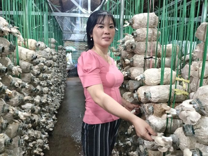 Trang trại nấm đóng góp 4/5 sản phẩm OCOP toàn huyện