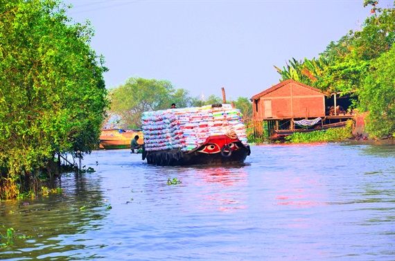 Bến Tre: Khẩn cấp chống mặn, không để dân khát