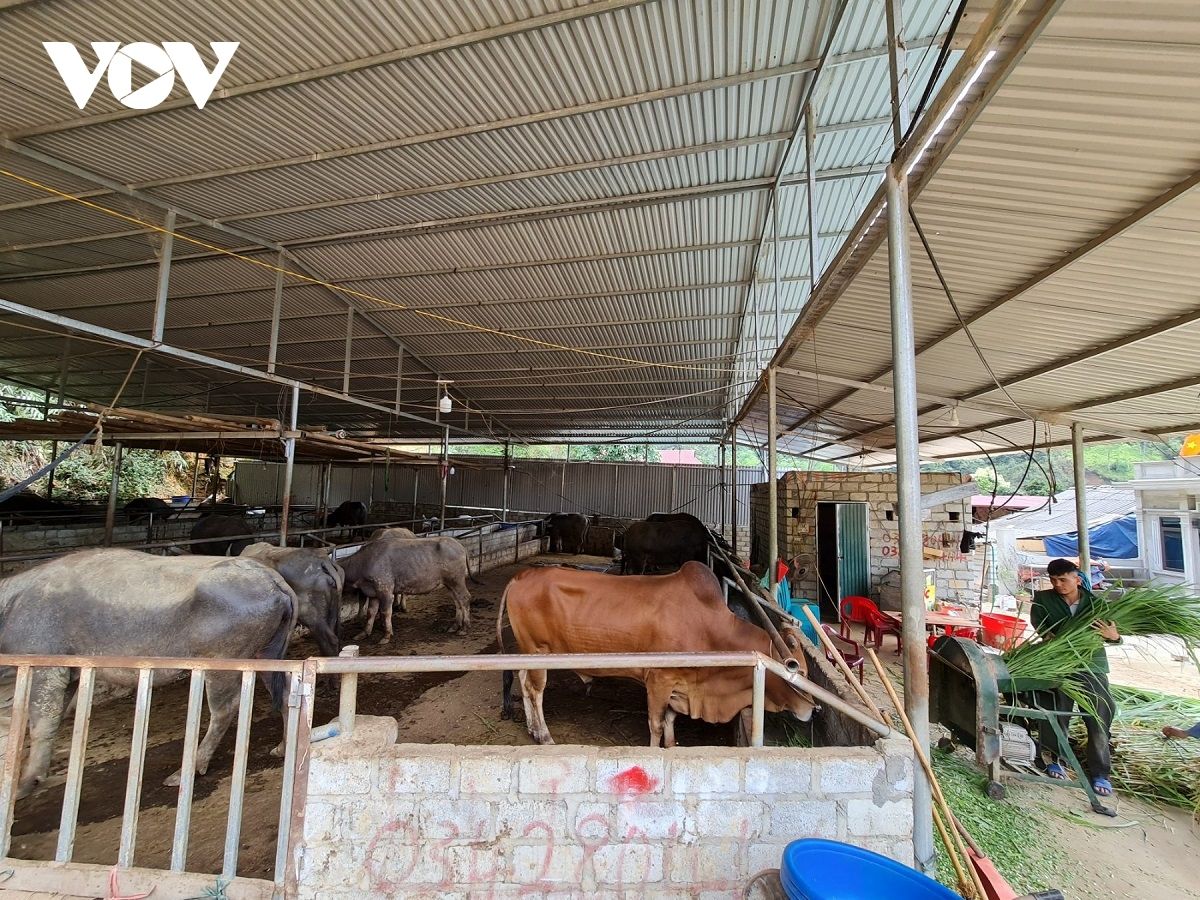 Bắc Kạn: Dựng 