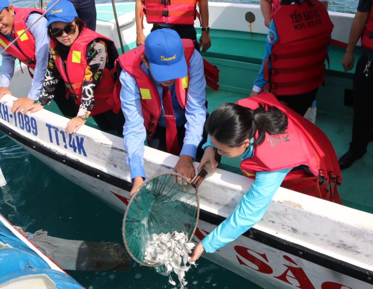 Thả hơn 10.000 con cá giống xuống vịnh Nha Trang tái tạo nguồn lợi thủy sản