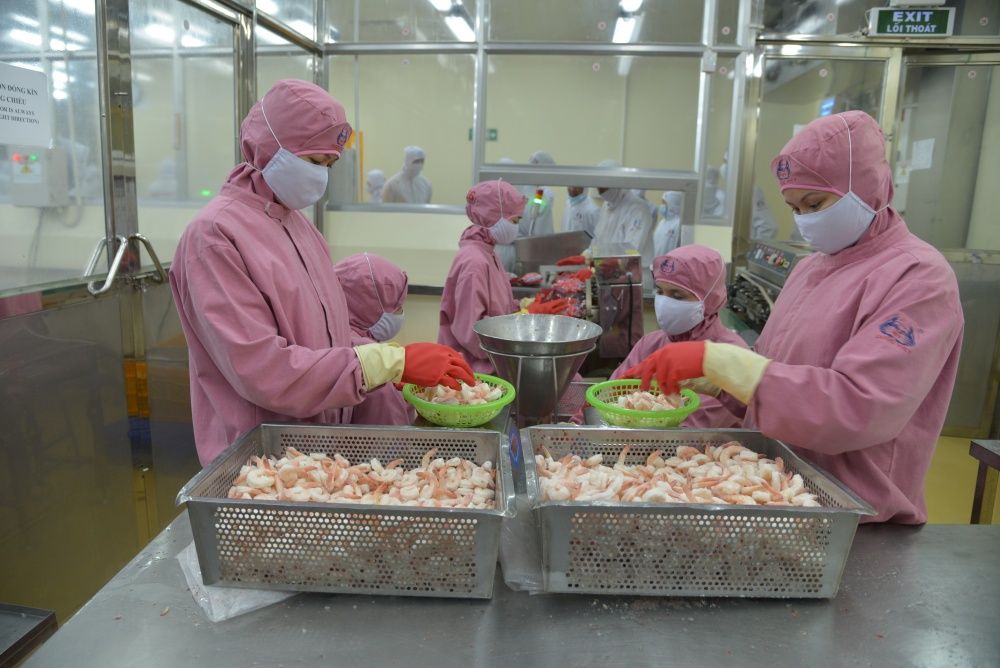 Kỳ vọng xuất khẩu tôm các tháng cuối năm