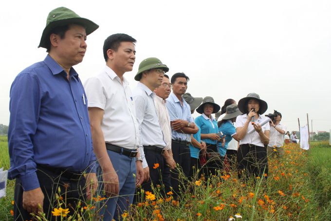 Hà Nội quyết tâm tiên phong tiếp cận với sức khỏe cây trồng