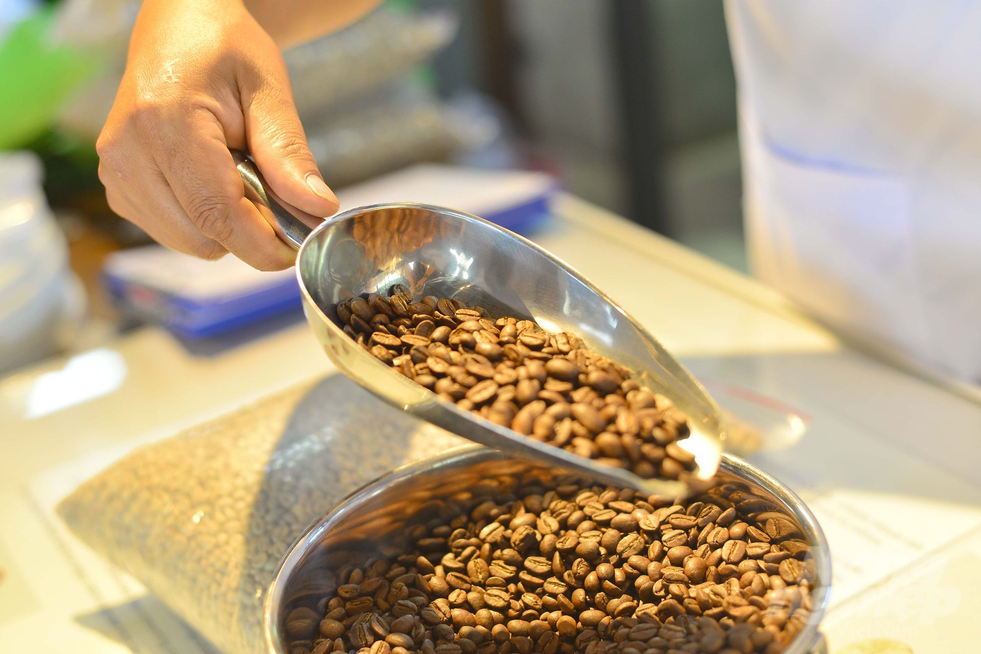 Cần chiến lược mới cho cà phê robusta