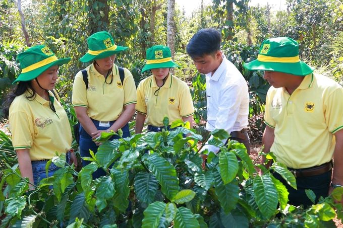 Canh tác cà phê thông minh