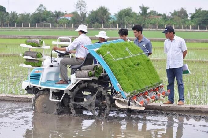 Cánh đồng lớn mở đường cho cơ giới hóa