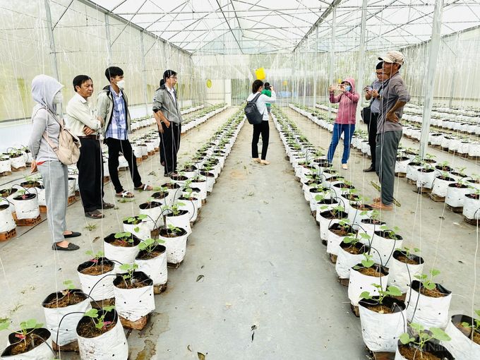 Đào tạo trên 4.000 nông dân ứng dụng nông nghiệp công nghệ cao