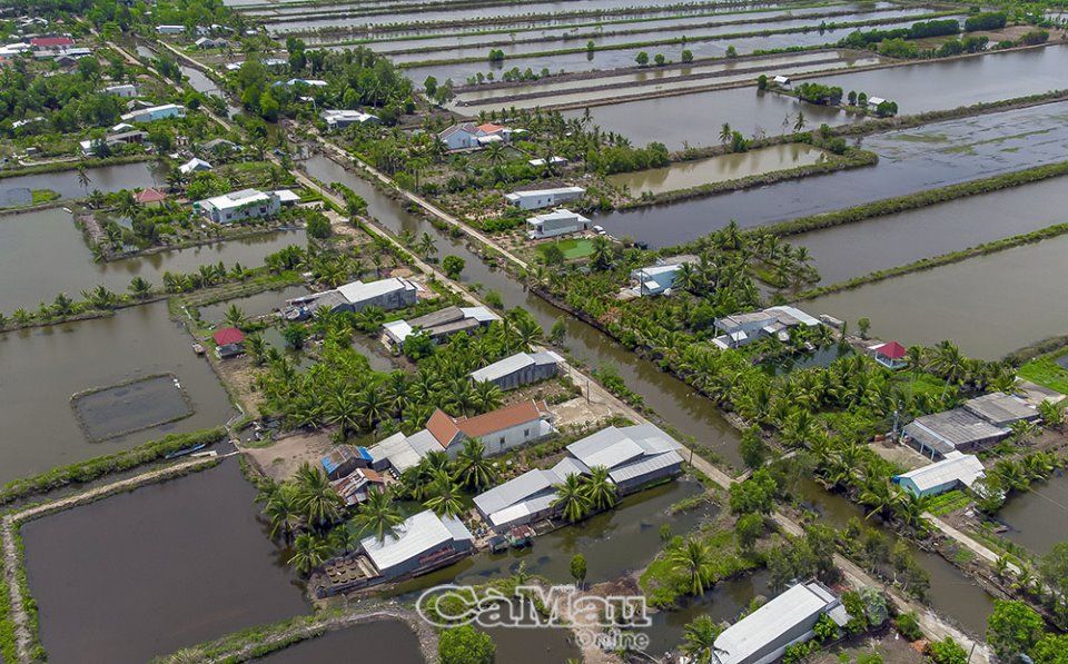 Con kênh Nước Phèn ở Cà Mau dân từng chật vật, ngờ đâu nay sung túc, đường hoa bông trang đẹp như mơ