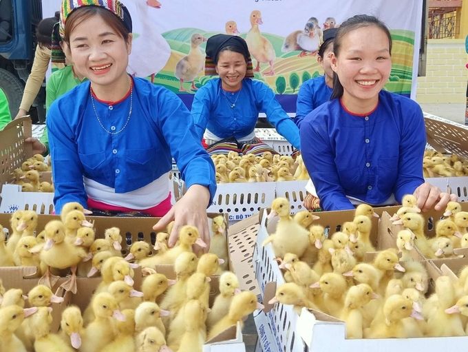 Thanh Hóa xây dựng được 103 cơ sở chăn nuôi an toàn dịch bệnh