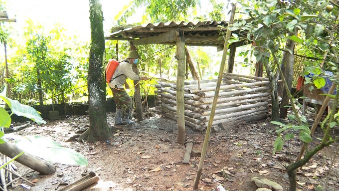 Dịch tả lợn Châu Phi len lỏi vào thôn bản vùng cao