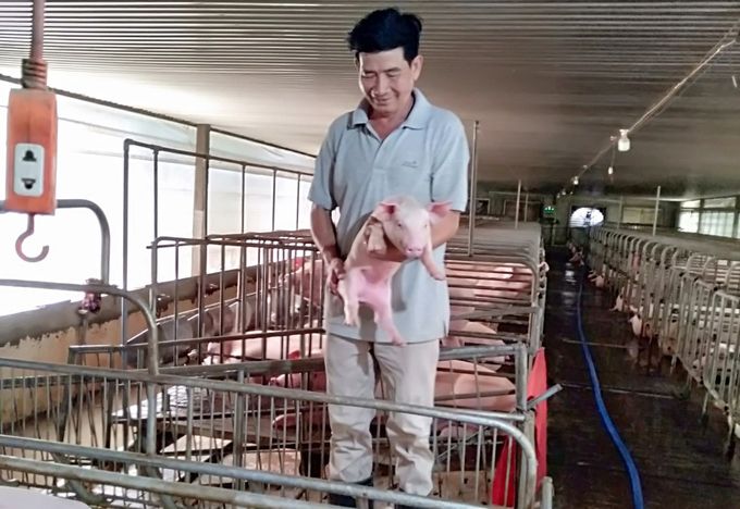 Chăn nuôi ĐBSCL khó xây dựng cơ sở an toàn dịch bệnh