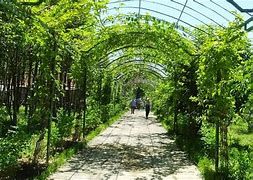 Vườn mẫu nông thôn mới của một nông dân đạt giải Nhất cuộc thi ở huyện Nghĩa Đàn của Nghệ An