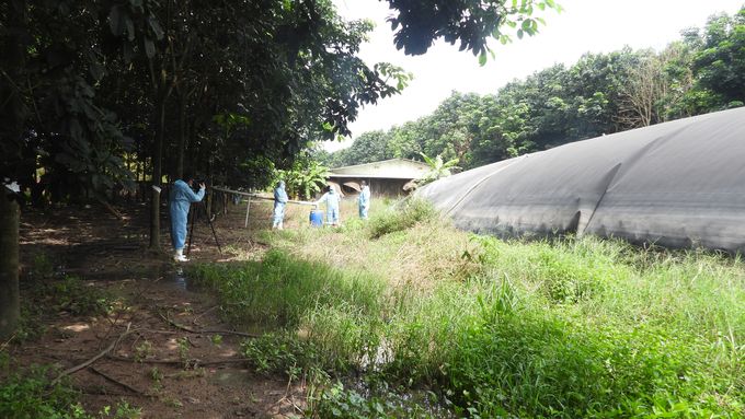 Phát điện từ khí biogas, trại heo tiết kiệm 100 triệu đồng 
