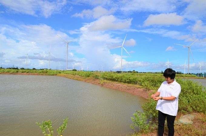 Từ rau sam muối, khoa học thế giới nghiên cứu chất ngăn tế bào ung thư