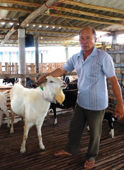 Nuôi dê sinh sản cải thiện kinh tế gia đình