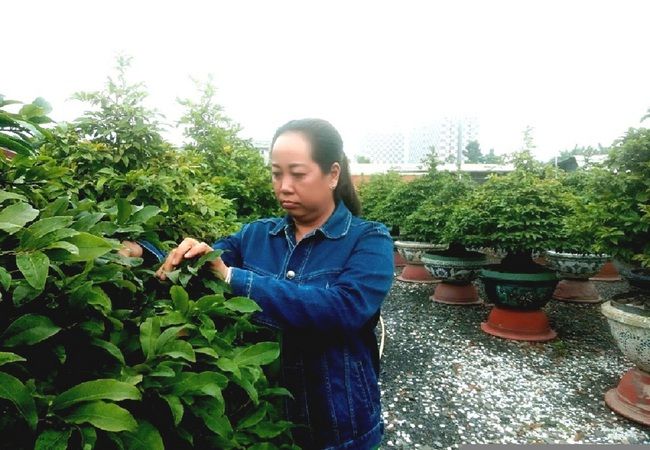 TP. Thủ Đức nỗ lực xây dựng đội ngũ nông dân chuyên nghiệp