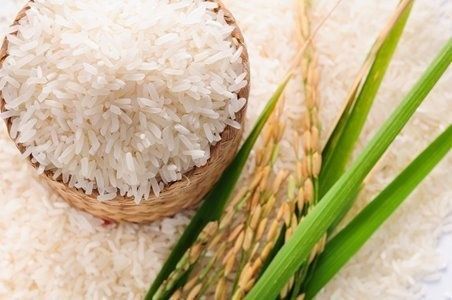 Cập nhật giá lúa gạo mới nhất ngày 25/8: Giá gạo Thái tiếp tục tăng, gạo Việt vẫn đắt nhất châu Á