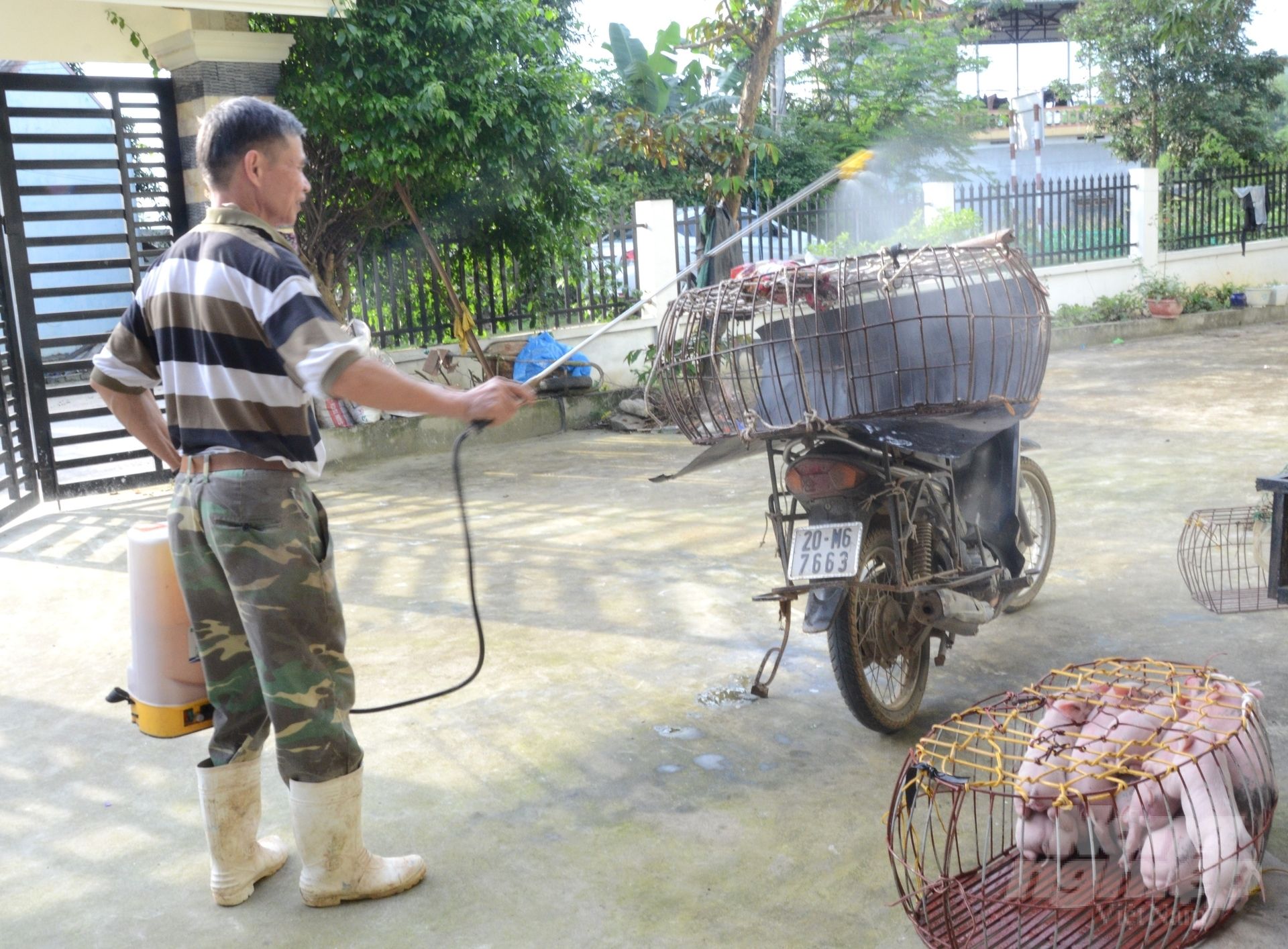 Khoanh vùng nhanh, dập dịch sớm, thiệt hại nhỏ