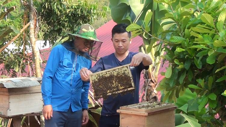 Phong trào Nông dân sản xuất, kinh doanh giỏi ở huyện biên giới Nậm Pồ, nhiều nông dân thu nhập tiền tỷ mỗi năm