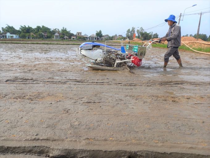 Sạ cụm, cách làm mới lợi đủ bề