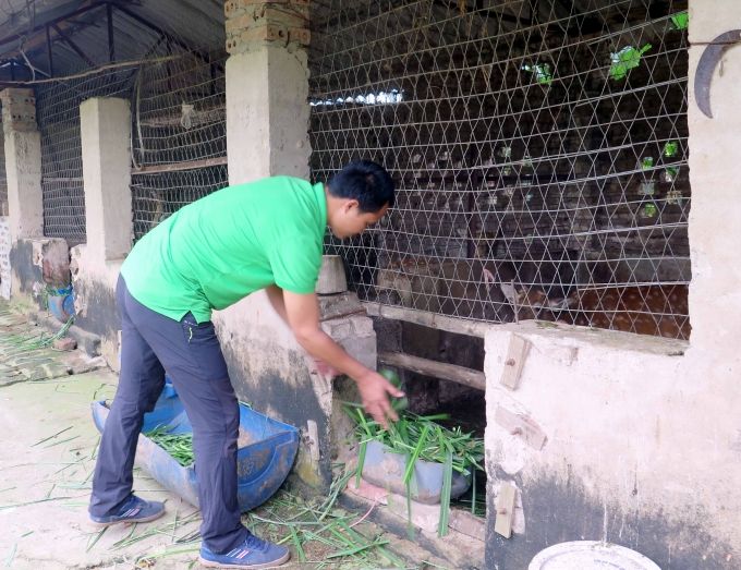Nuôi hươu sao giữa thành phố công nghiệp