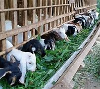 Câu chuyện xây dựng nông thôn mới ở huyện nghèo Đà Bắc