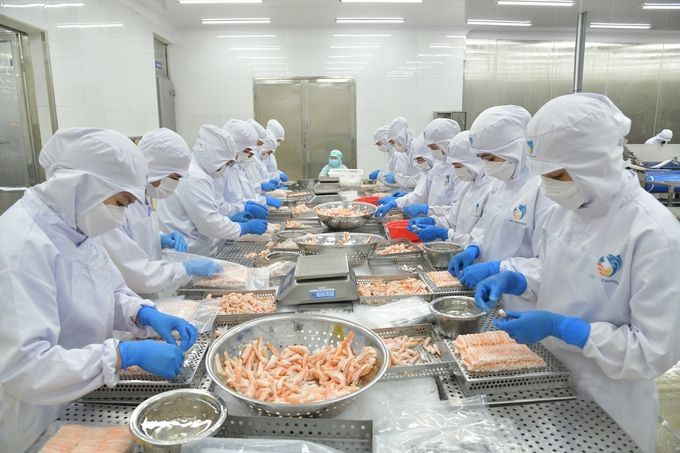Thị trường thủy sản 'bật tín hiệu xanh' 