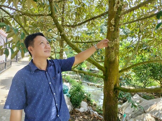 Cam sành rớt giá và bài học sản xuất theo trào lưu