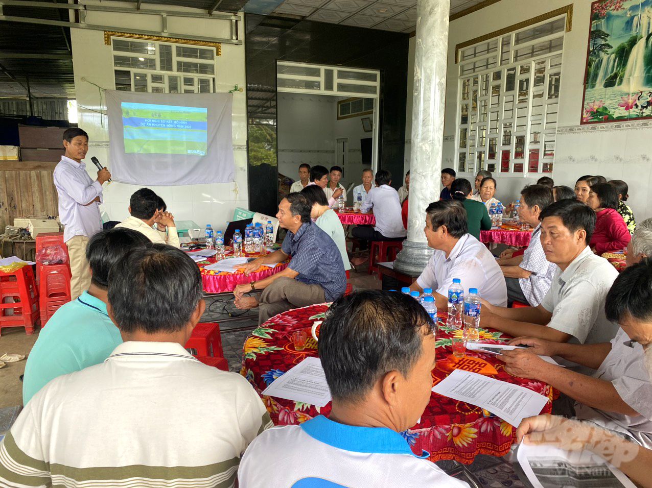 Liên kết sản xuất lúa giống tăng lợi nhuận 20-25%