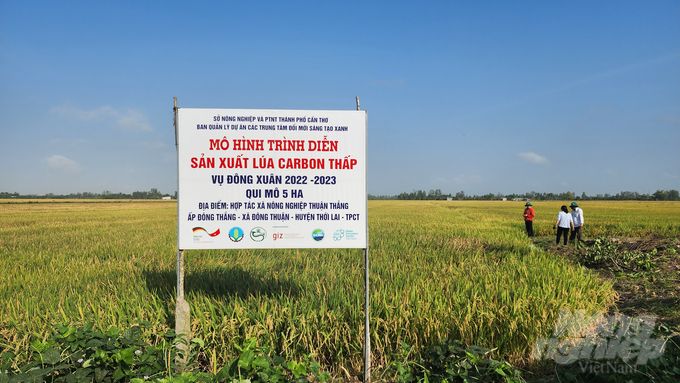 10.000 nông dân ĐBSCL được đào tạo canh tác lúa gạo bền vững