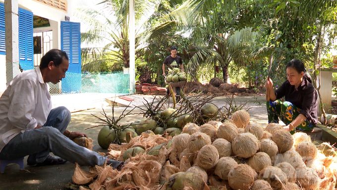 Đăng ký bảo hộ chỉ dẫn địa lý cho dừa sáp