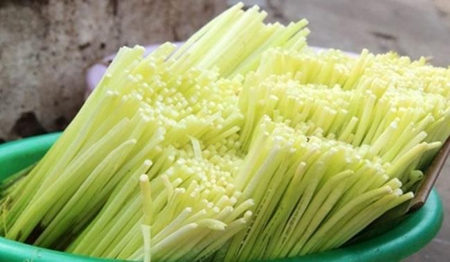 Loại rau mọc tua tủa, trước dùng để chống đói, giờ là đặc sản được săn lùng, biết giá ai cũng hỏi mua