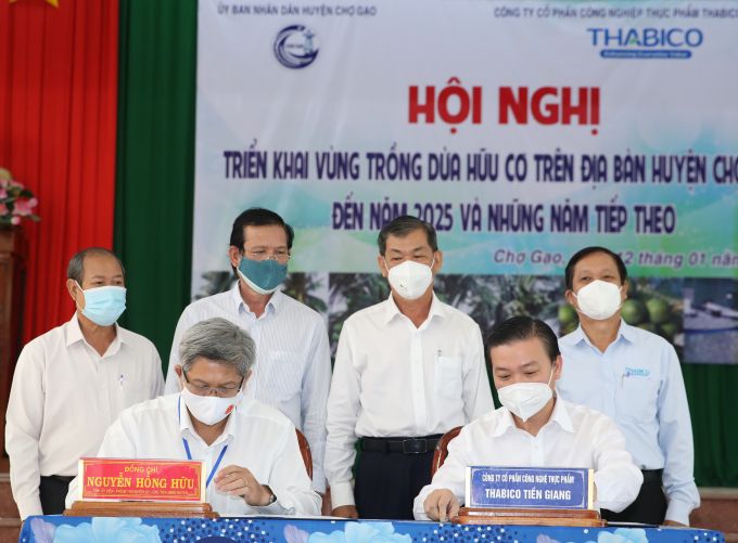 Triển khai vùng trồng dừa hữu cơ tại Chợ Gạo