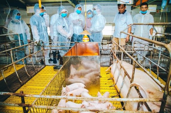 Sắp diễn ra Hội nghị khoa học Chăn nuôi - Thú y toàn quốc lần 5