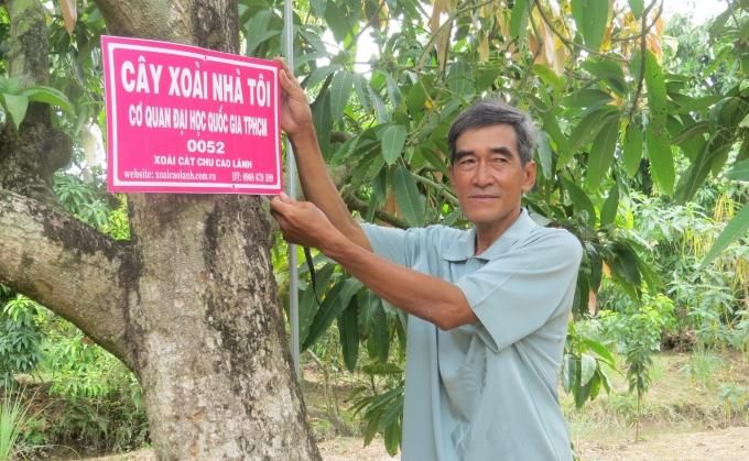 Hiệu quả kinh tế từ 'Cây xoài nhà tôi'
