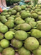 Giá mít Thái hôm nay 5/10: Biến động nhẹ, nông dân không vui vì giá bán không cao