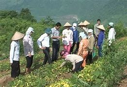 Mường Chà: Được đào tạo nghề, người lao động có thêm việc làm, tăng thu nhập