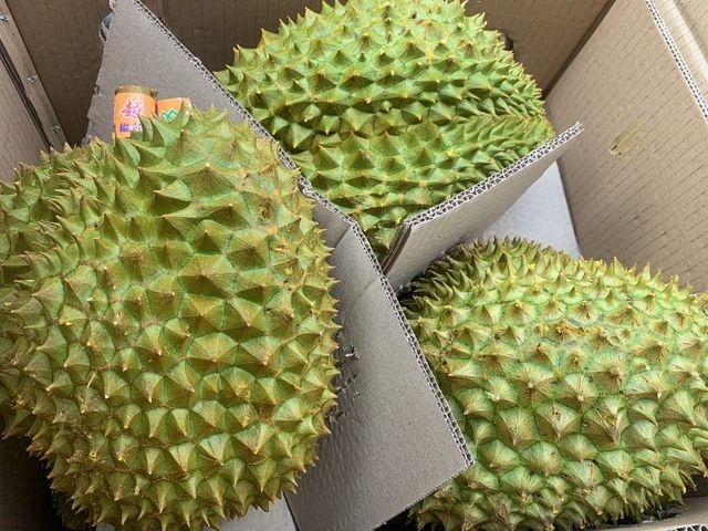 Xuất khẩu sầu riêng qua cửa khẩu Lào Cai tăng mạnh kỷ lục