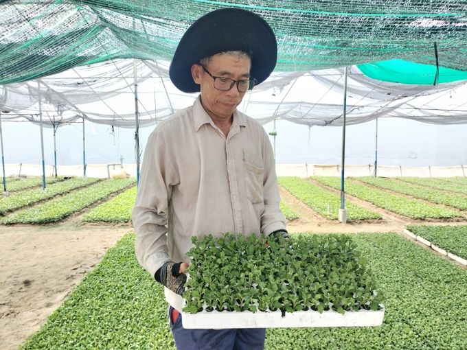 Nông dân Tiền Giang rục rịch xuống giống vụ hoa Tết