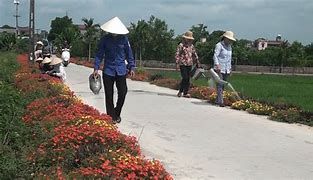 Điện Biên: Đôn đốc tiến độ chương trình xây dựng nông thôn mới