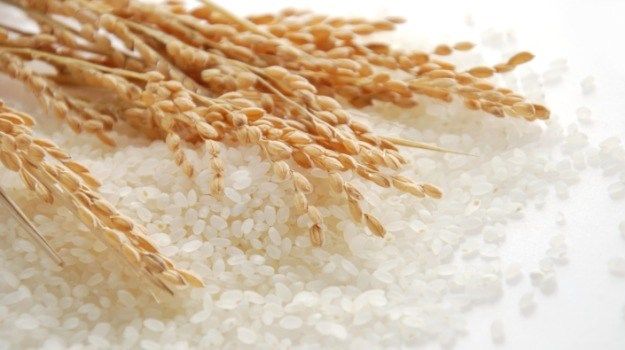 Tác động từ việc Ấn Độ hạn chế xuất khẩu gạo 'không nặng nề'