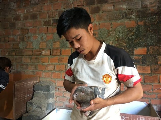 Chàng Phó Bí thư đoàn thanh niên xã 'bỏ túi' chục triệu mỗi tháng nhờ nghề tay trái