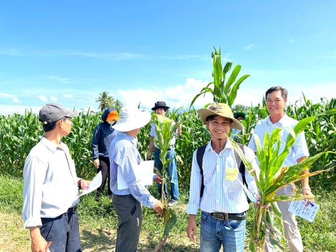 Tập huấn kỹ thuật nông nghiệp chống chịu với biến đổi khí hậu