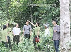 Giữ màu xanh cho rừng đặc dụng Xuân Nha