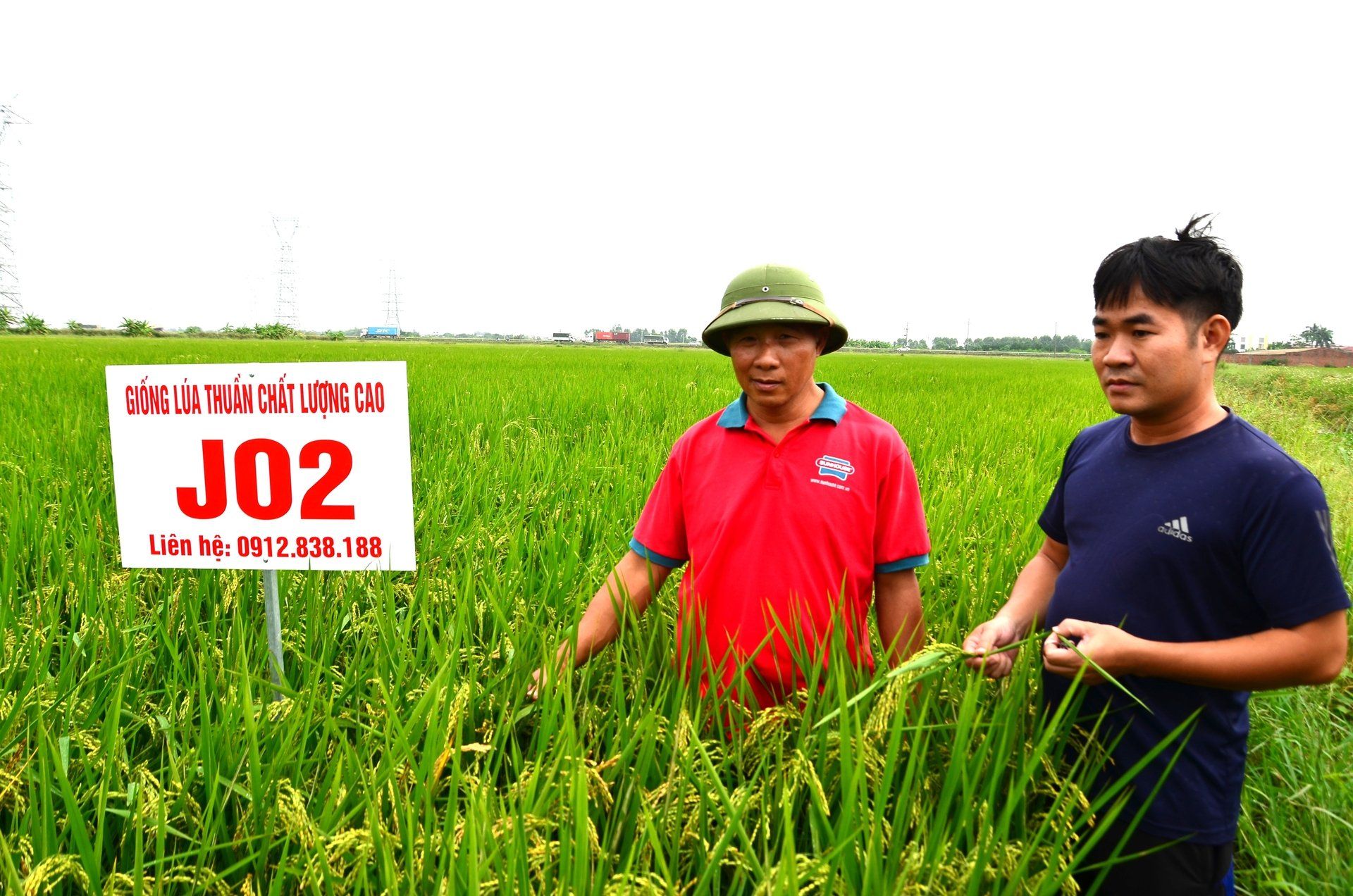 Bắc Ninh hỗ trợ 100 triệu/ha để tập trung đất nông nghiệp quy mô lớn