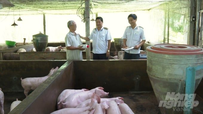 Thận trọng tái đàn heo dịp cuối năm