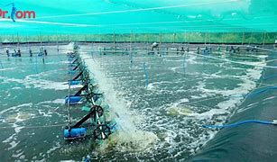 Giải pháp nào để ngành thủy sản 'lột xác'?