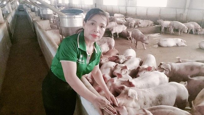 Dự báo không lo thiếu thịt cho thị trường dịp tết dựa trên cơ sở nào?